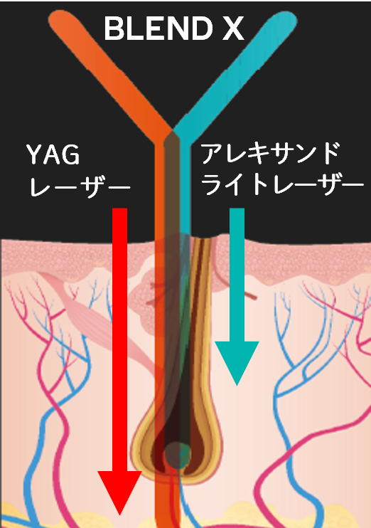 BLEND X 波長イメージ写真