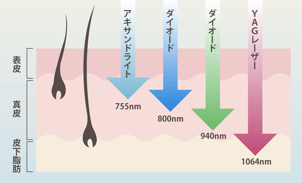 波長別照射深度チャート（別添素材）