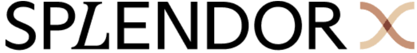 SPLENDOR X 2.0